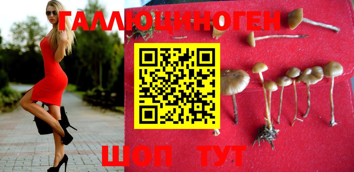 Галлюциногенные грибы мицелий  Вход с VPN  Лыткарино 